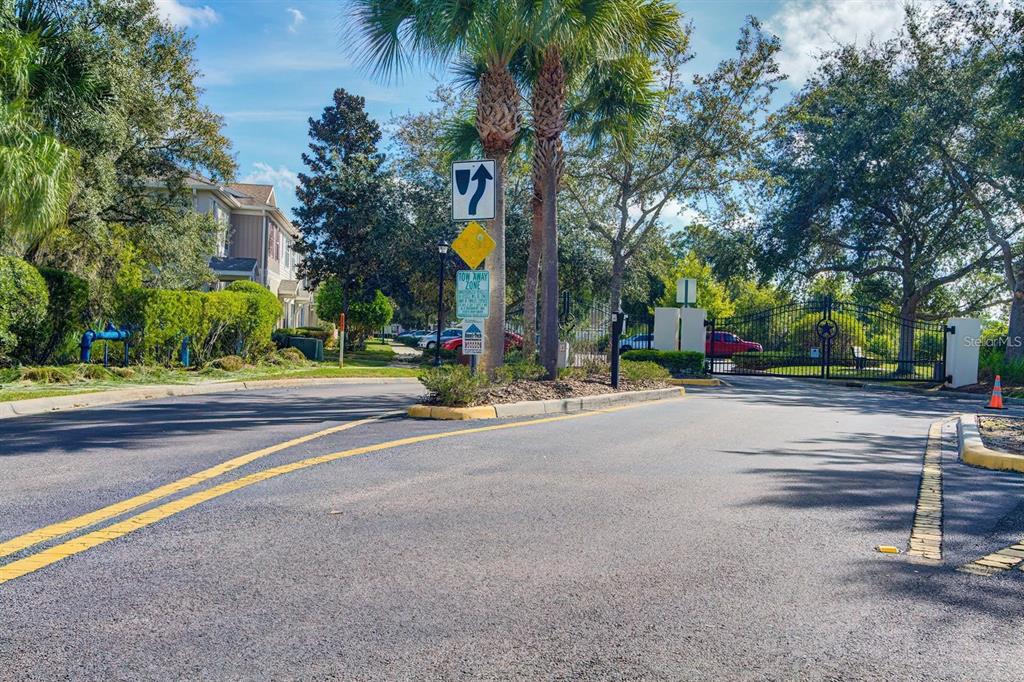 15706 Stable Run Drive Spring Hill, FL 34610 - Photo 40 of 40 a view of street with palm trees