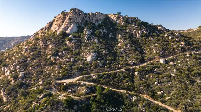 a view of a backyard with large trees