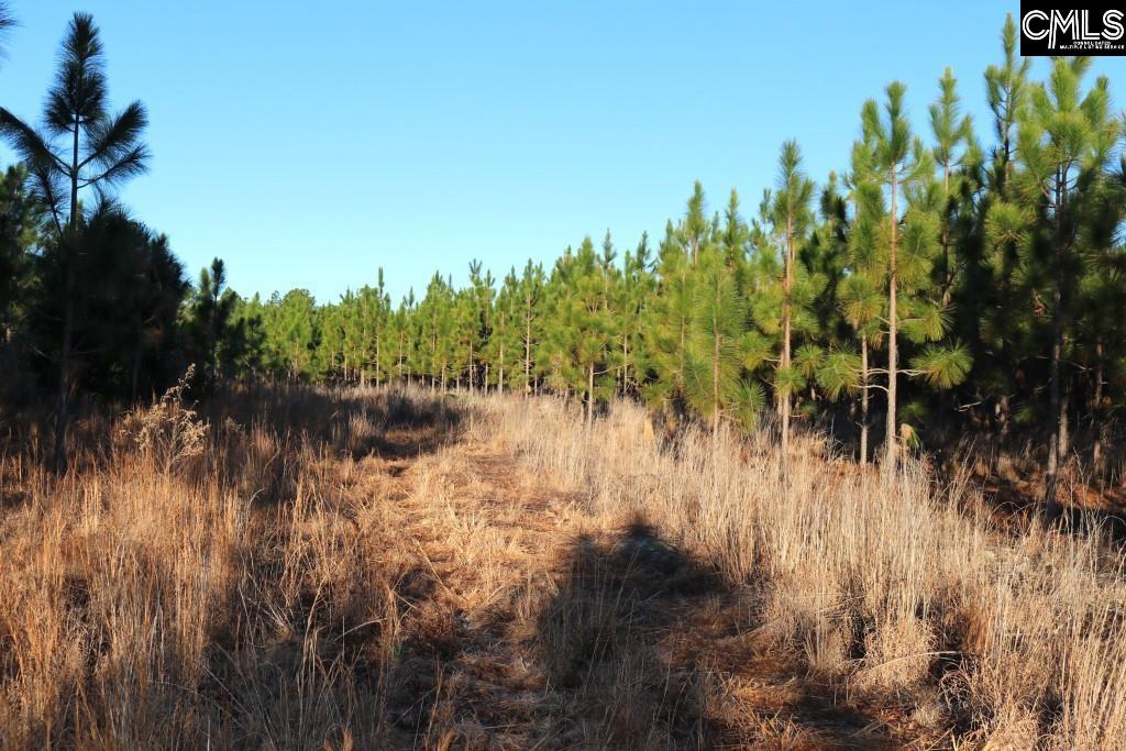 Holstein Road Wagener, SC 29164 - Photo 7 of 26