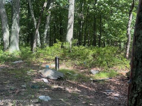 2186 Spring Drive Bushkill, PA 18324 - Photo 32 of 39 IMG_1383