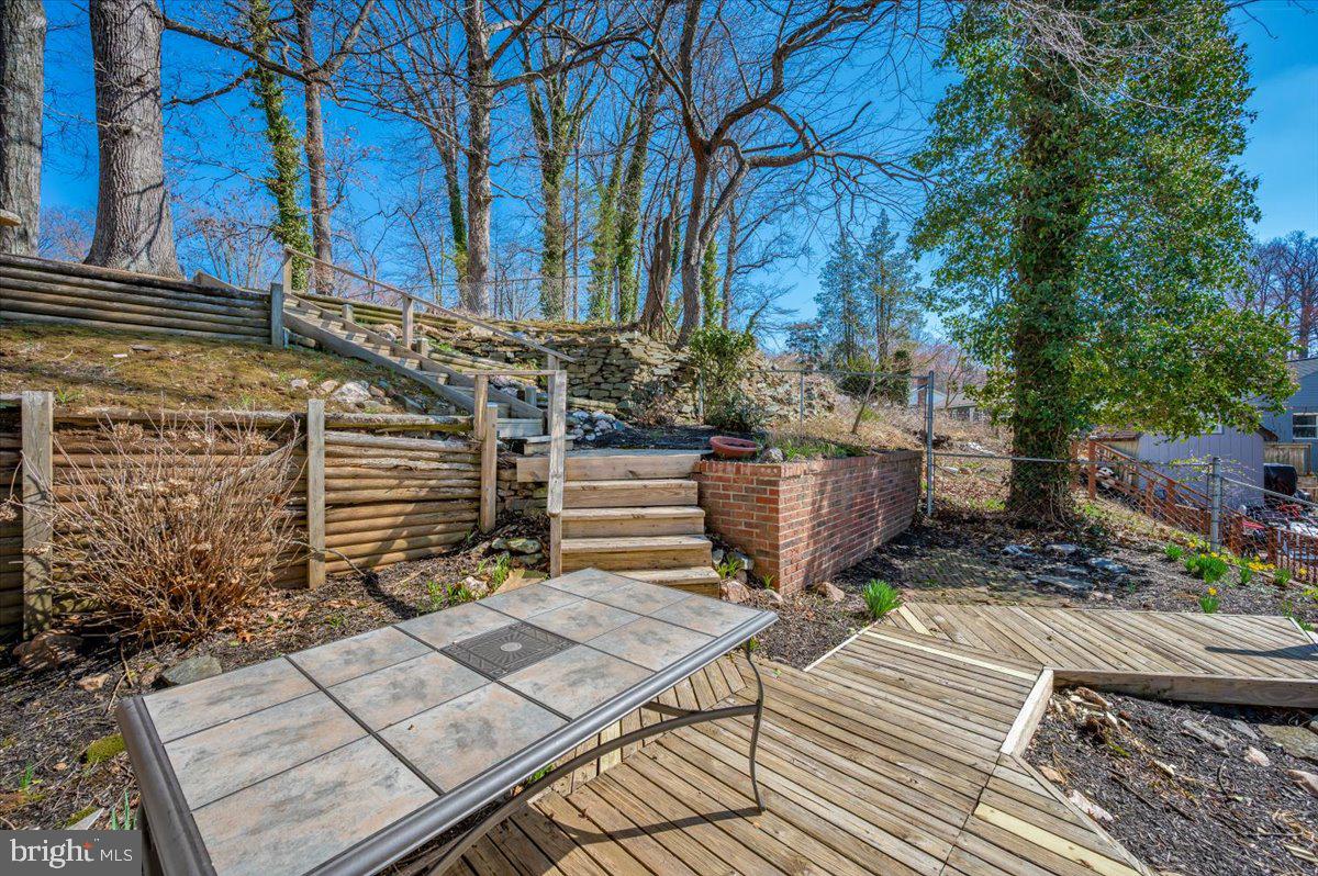 11852 Huggins Drive Silver Spring, MD 20902 - Photo 48 of 63 Serene outdoor retreat with lush greenery.