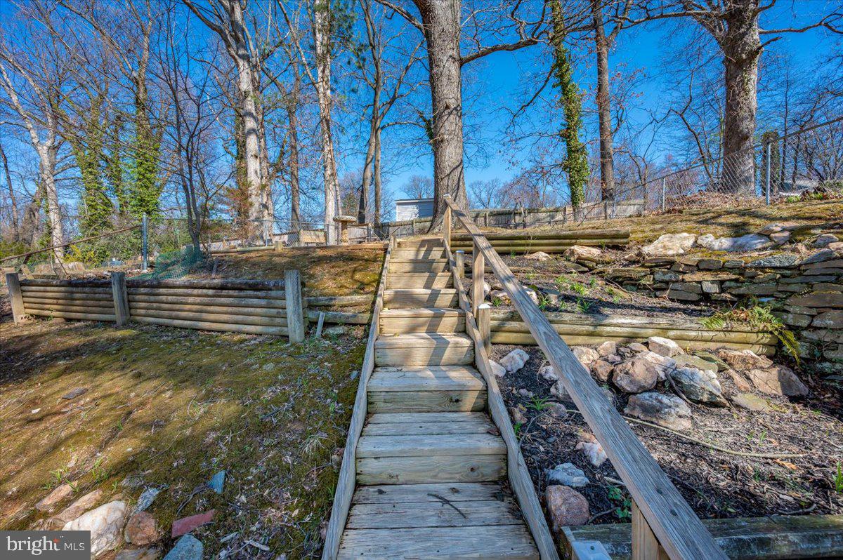 11852 Huggins Drive Silver Spring, MD 20902 - Photo 49 of 63 Charming pathway through nature's embrace.