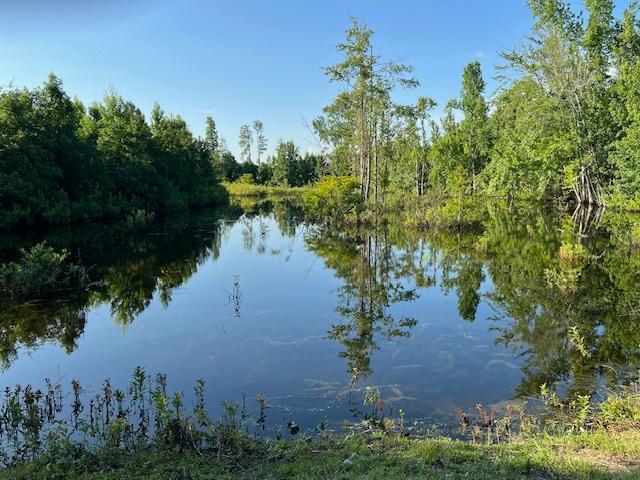 121 State Rd S-6-636 Barnwell, SC 29812 - Photo 19 of 24