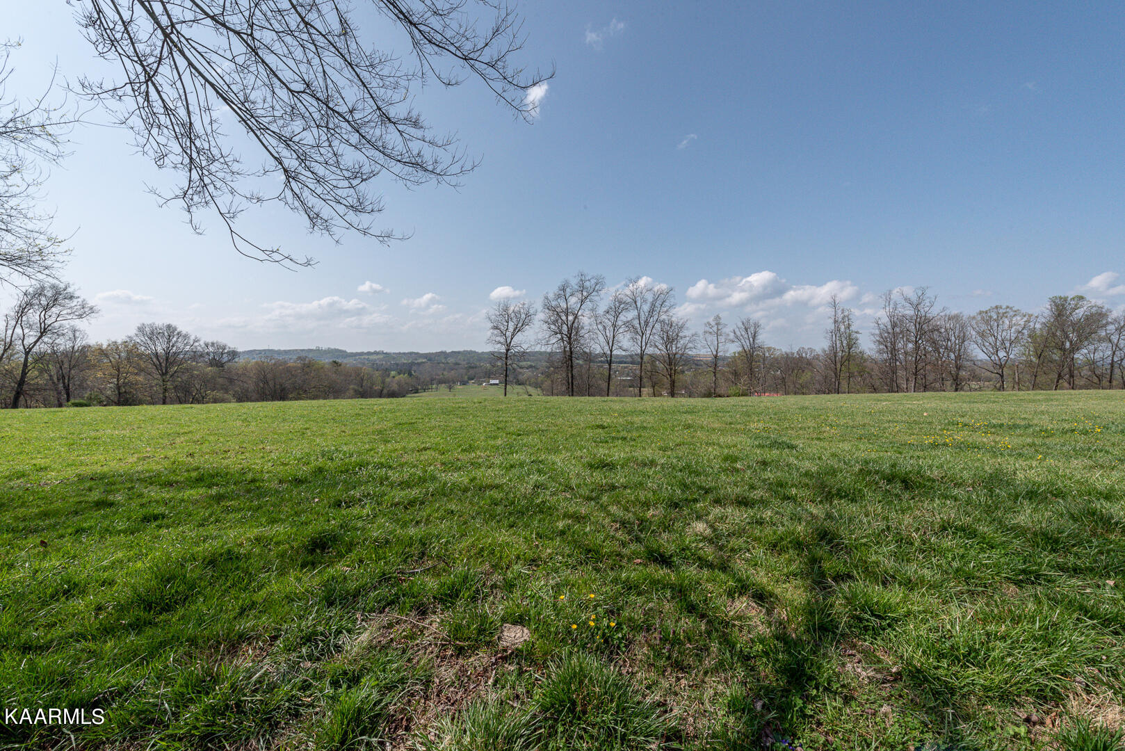 3021 Clover Hill Ridge Road Maryville, TN 37801 - Photo 46 of 49 DSC_5521