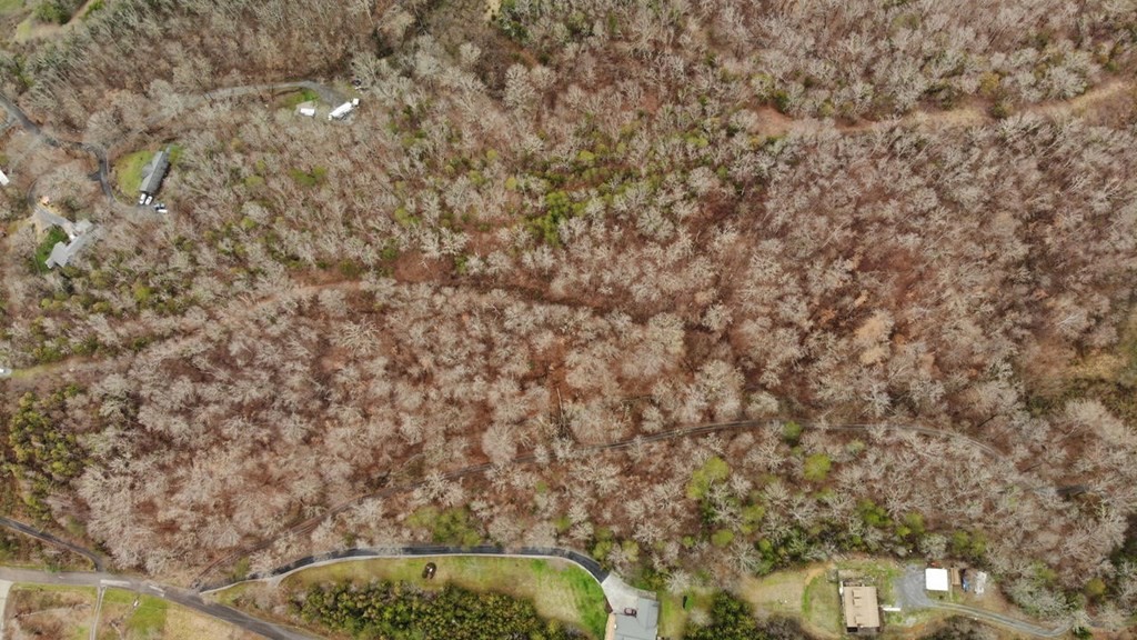 4 Ruth Lane Sevierville, TN 37862 - Photo 3 of 3 Gallery Image 3