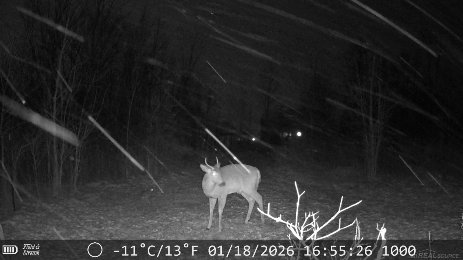 726 Brown City Road Imlay City, MI 48444 - Photo 62 of 65
