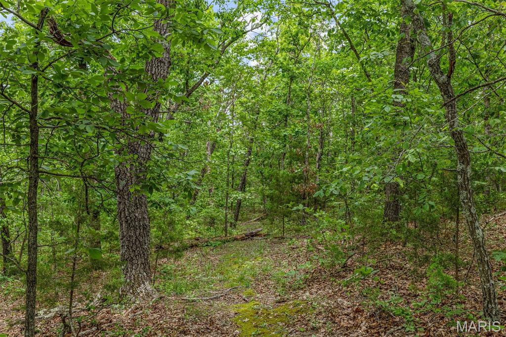 1521 Pendleton Road Farmington, MO 63640 - Photo 29 of 35