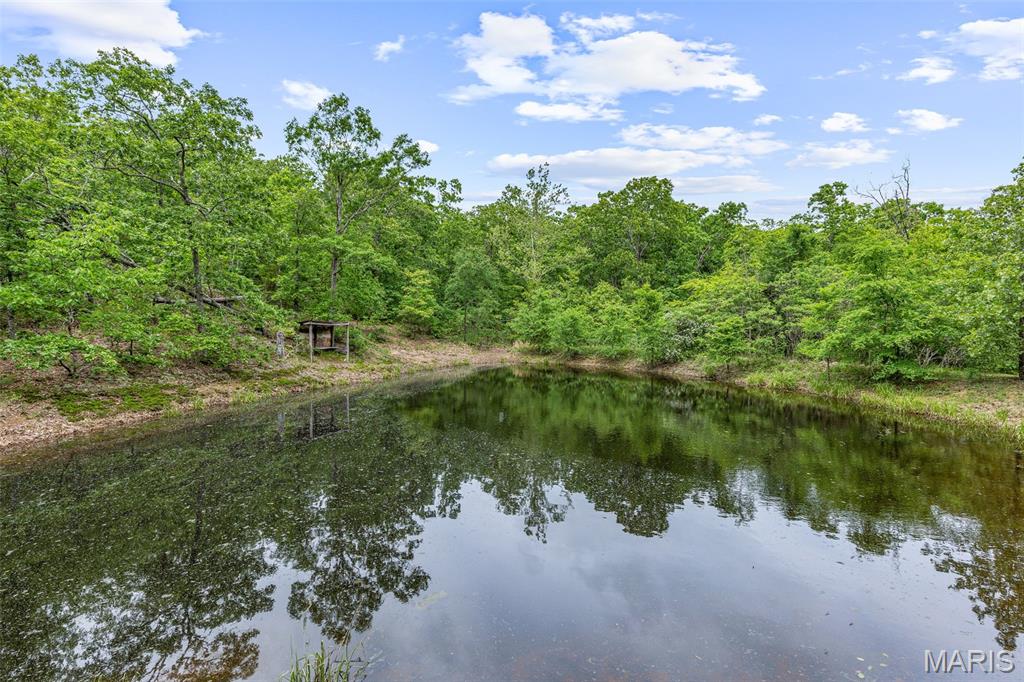 1521 Pendleton Road Farmington, MO 63640 - Photo 5 of 35