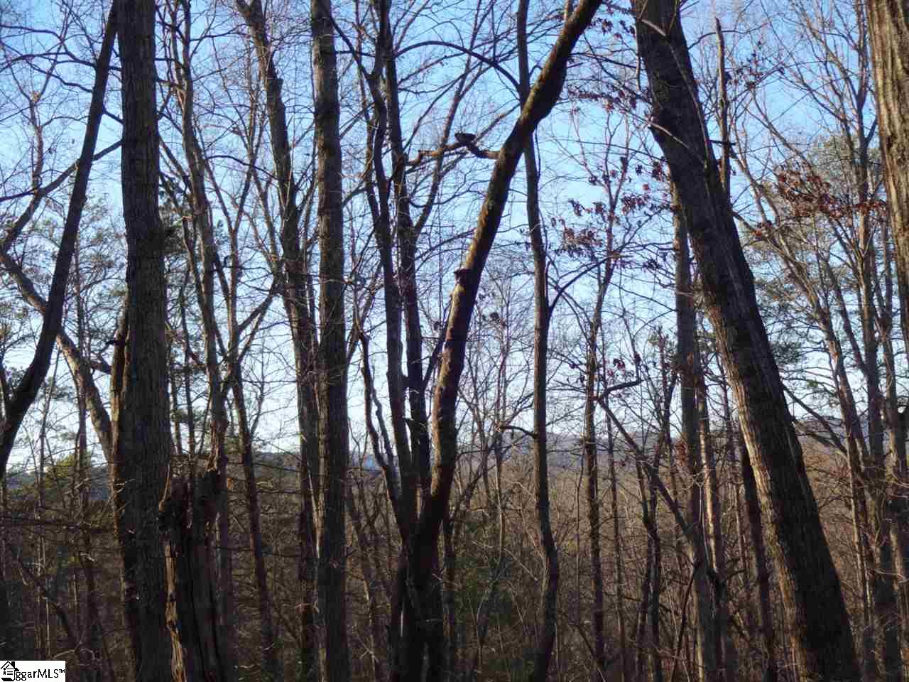 Fall Creek Road Salem, SC 29676 - Photo 14 of 25 Gallery Image 14