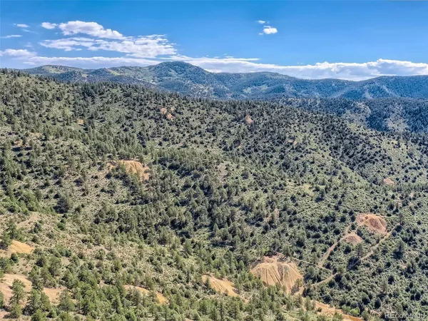 $29,500 | Lot 1 Eagle Mining Claim, Dumont, CO 80436