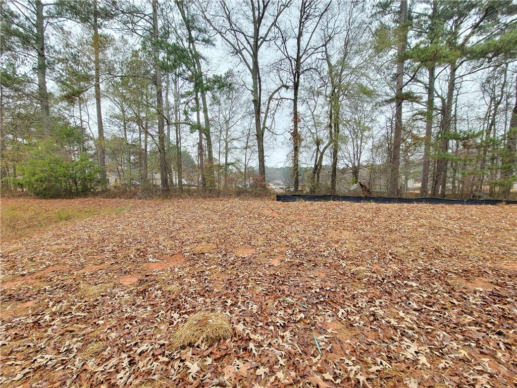 64 Silverleaf Trail Bethlehem, GA 30620 - Photo 13 of 25 a view of a yard with trees
