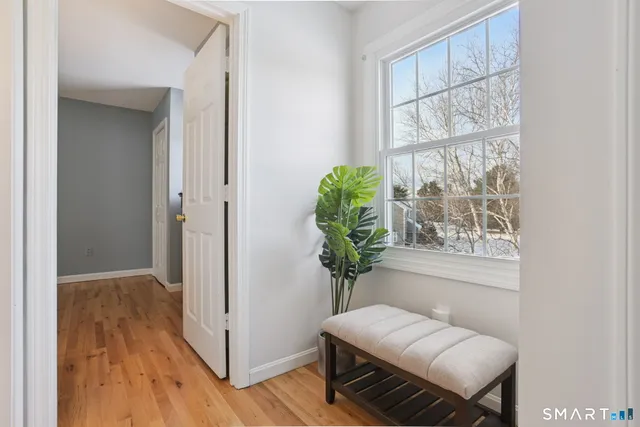 a room with furniture and a potted plant