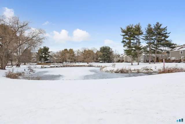a view of road with a yard