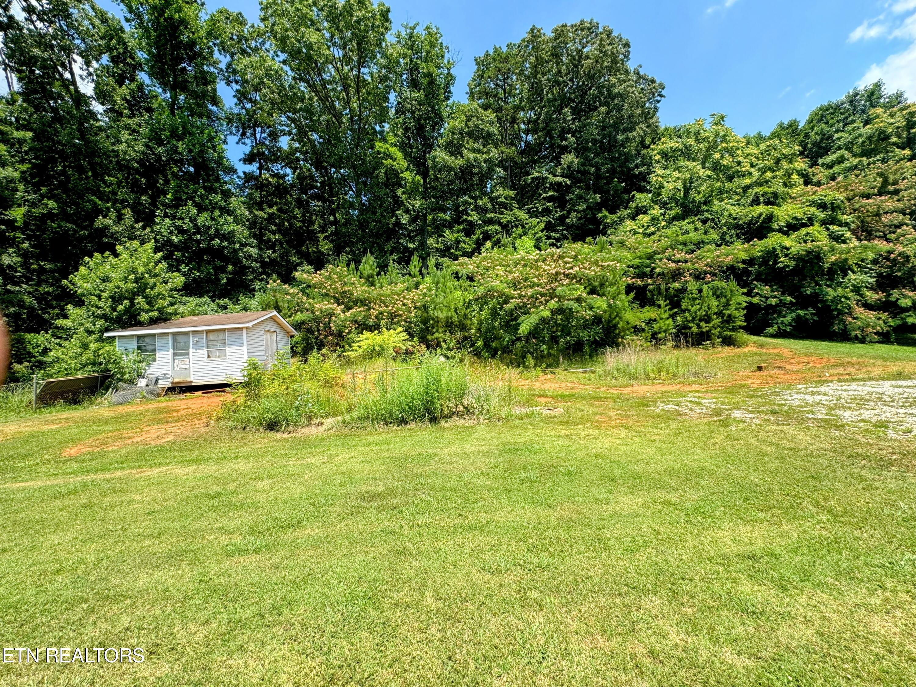 924 Bales Road New Market, TN 37820 - Photo 23 of 26 Back Yard