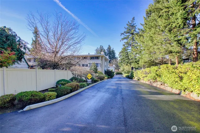 a view of a garden with flower plants