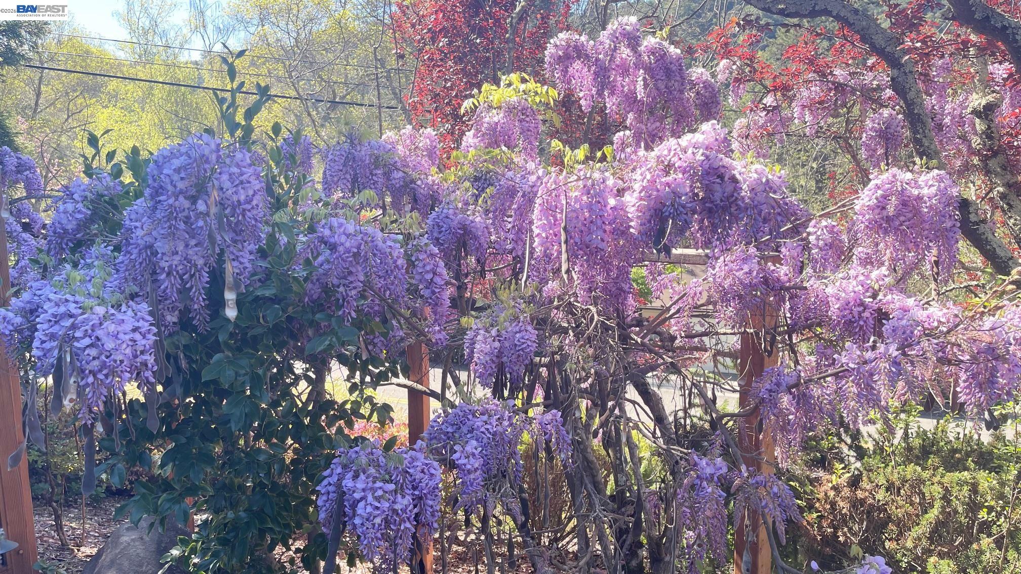 275 Orchard Road Orinda, CA 94563 - Photo 3 of 30