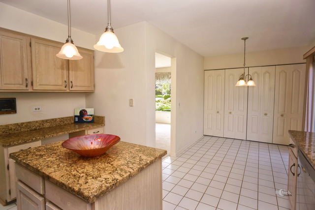 622 Raintree Road Buffalo Grove, IL 60089 - Photo 9 of 25
