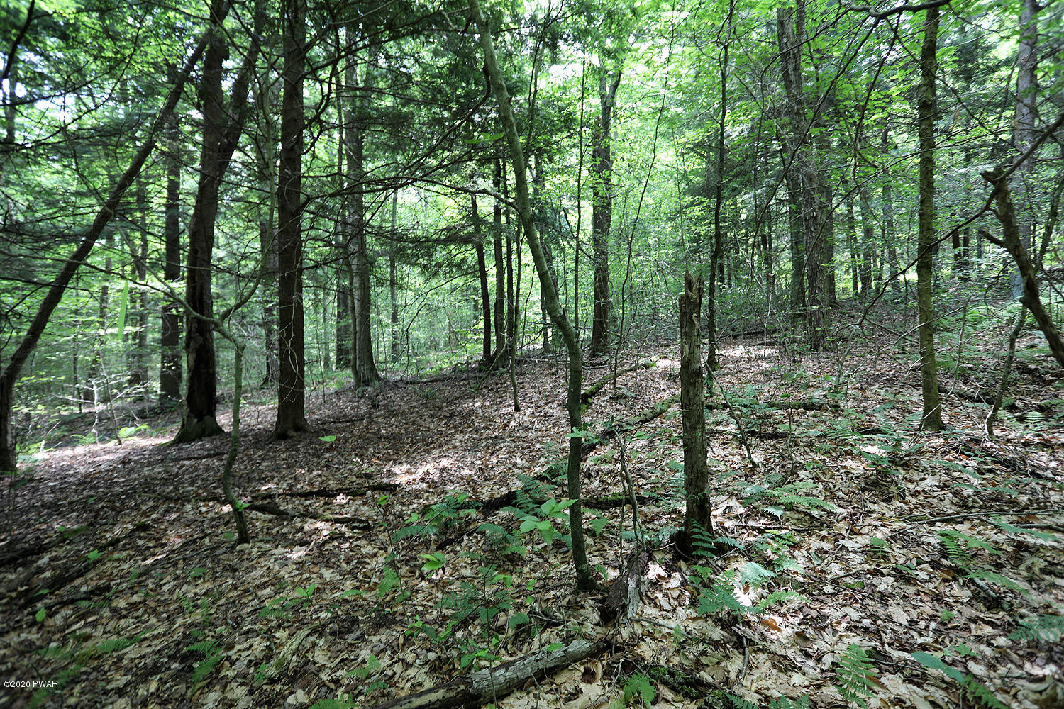 0 Minckler Mountain Road Equinunk, PA 18417 - Photo 5 of 39