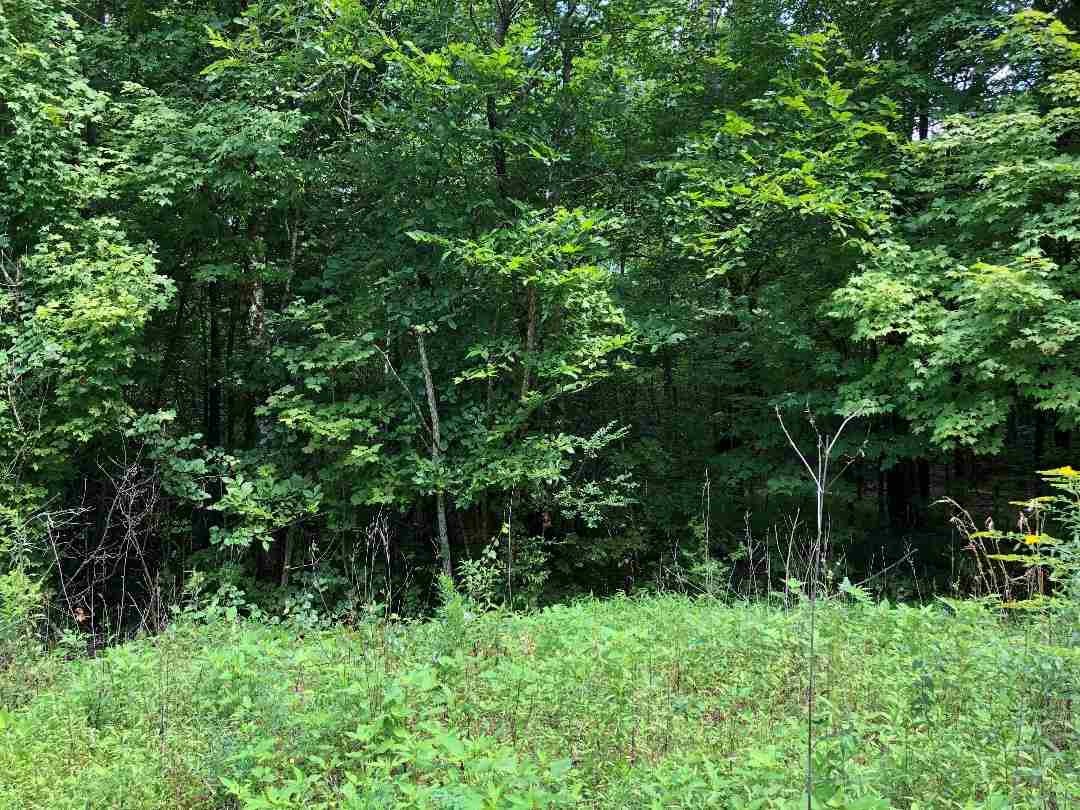 2114 No Pone Road Northwest Georgetown, TN 37336 - Photo 3 of 3 a backyard of a house with lots of green space and chair