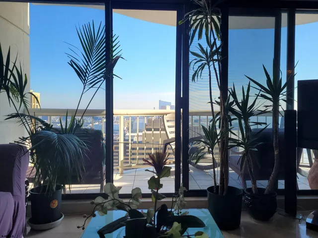 a close up of a plant in a glass door