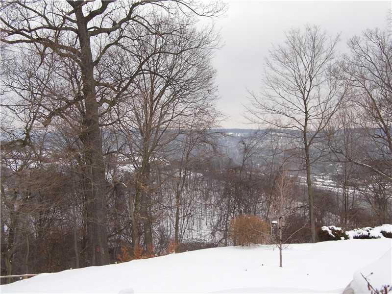 View. BEST of BOTH WORLDS - A level usable two tiered lot and a prieless valley view.