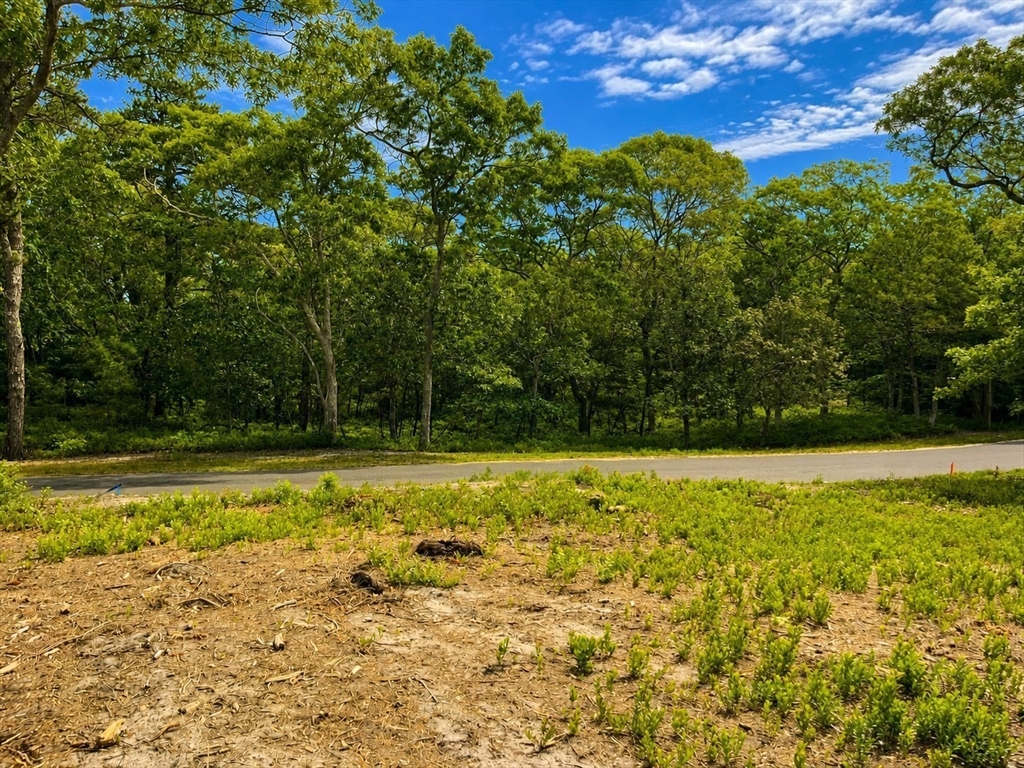 27 Double Ox Road Oak Bluffs, MA 02557 - Photo 8 of 12