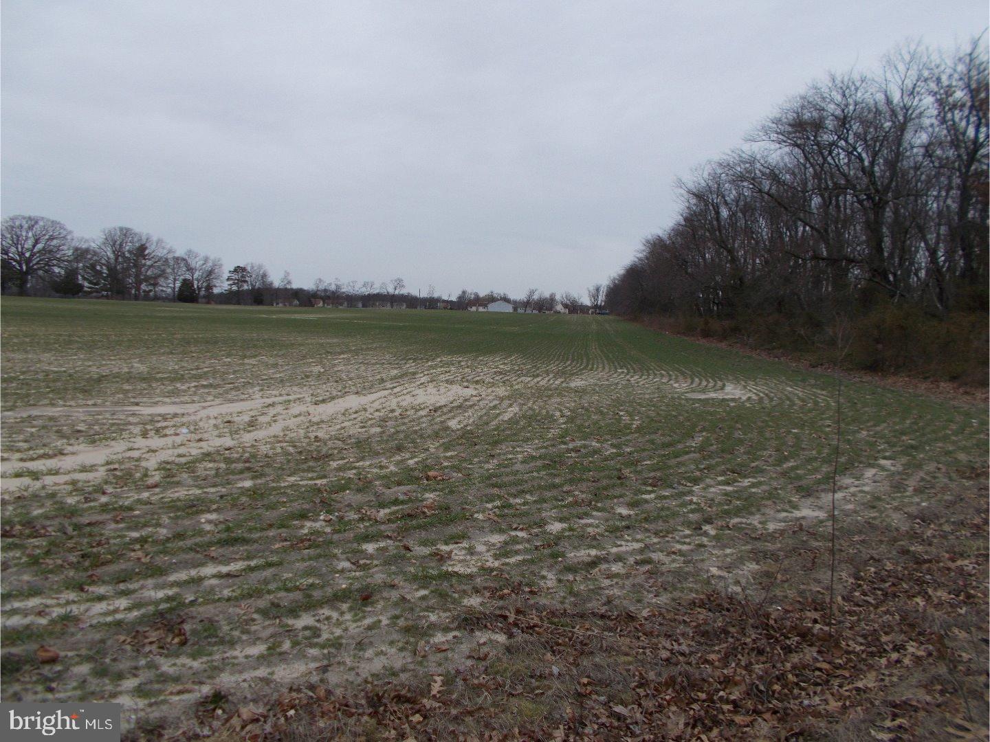 0 West Taunton Road Berlin, NJ 08009 - Photo 5 of 6