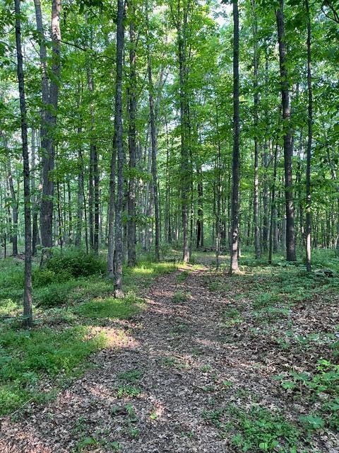 212 Dellhaven Road Frankford, WV 24938 - Photo 82 of 90 Rear Yard / Walking Trail