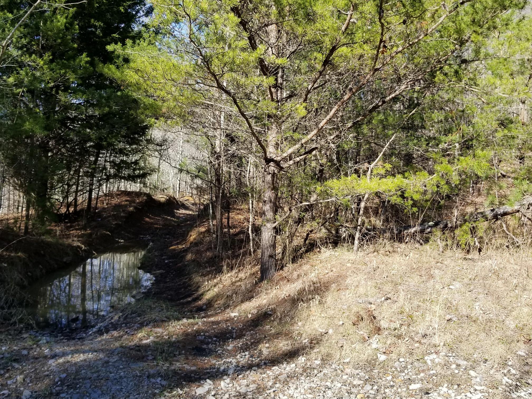 87.34 Palmer Firetower Road, Unit TRACT D Whitwell, TN 37397 - Photo 8 of 18 20180226_161333_resized