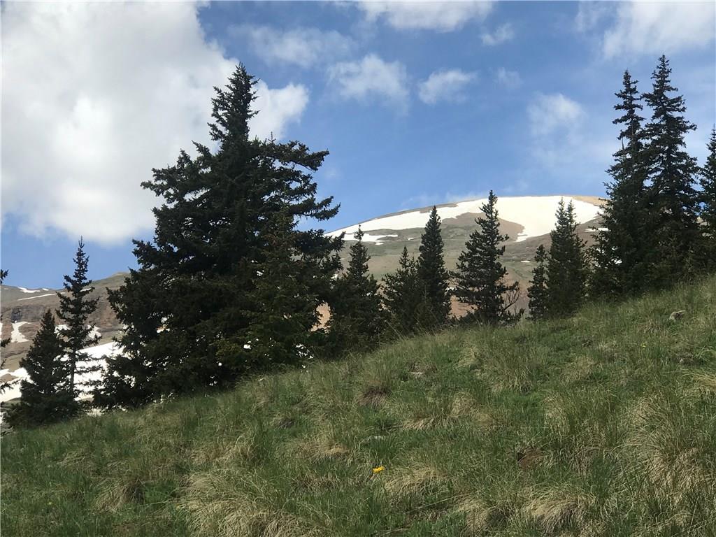 55 Lazy Rex Road Alma, CO 80420 - Photo 1 of 13 Gallery Image 1