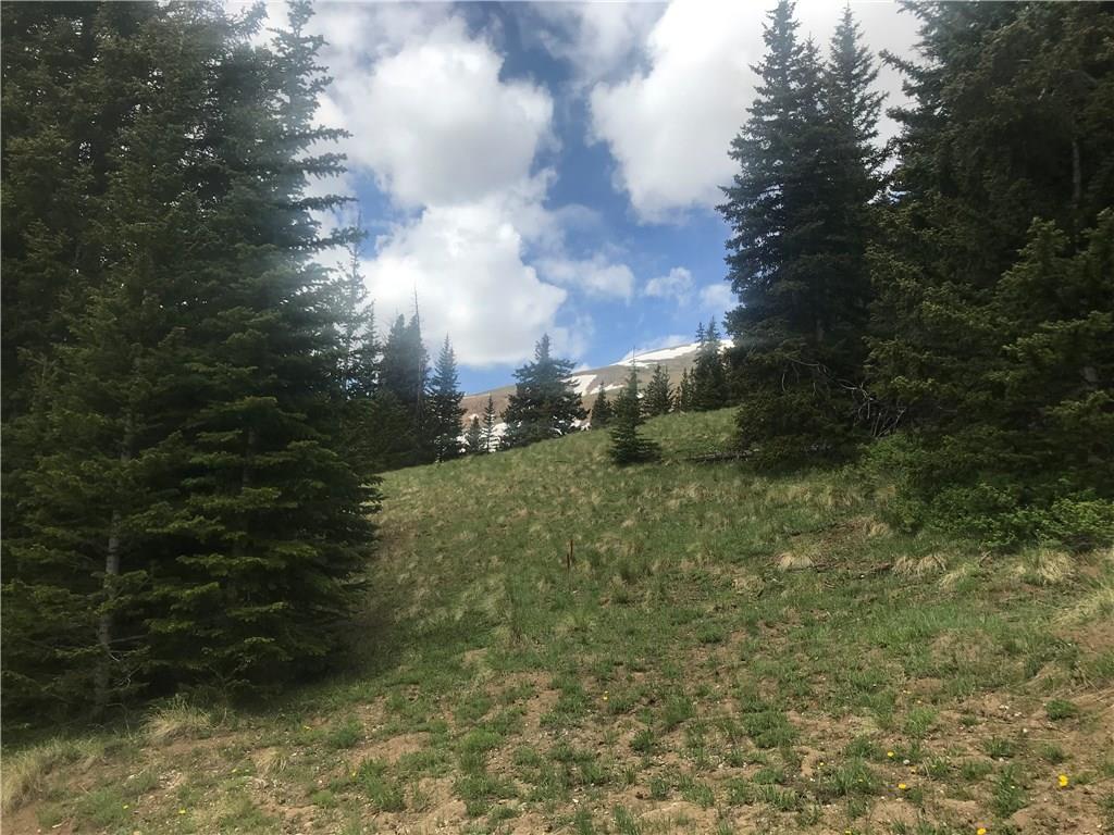 55 Lazy Rex Road Alma, CO 80420 - Photo 2 of 13 Gallery Image 2
