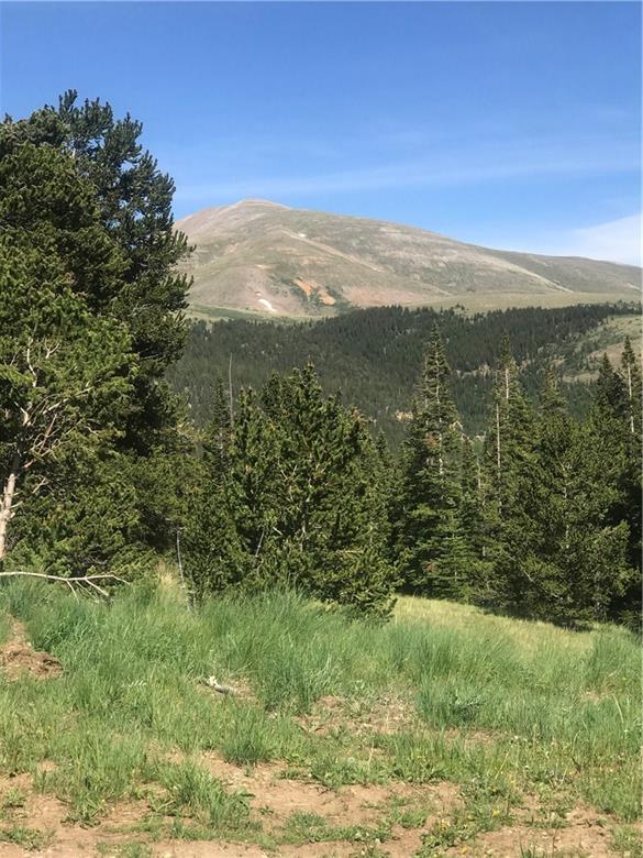 55 Lazy Rex Road Alma, CO 80420 - Photo 11 of 13 Gallery Image 11