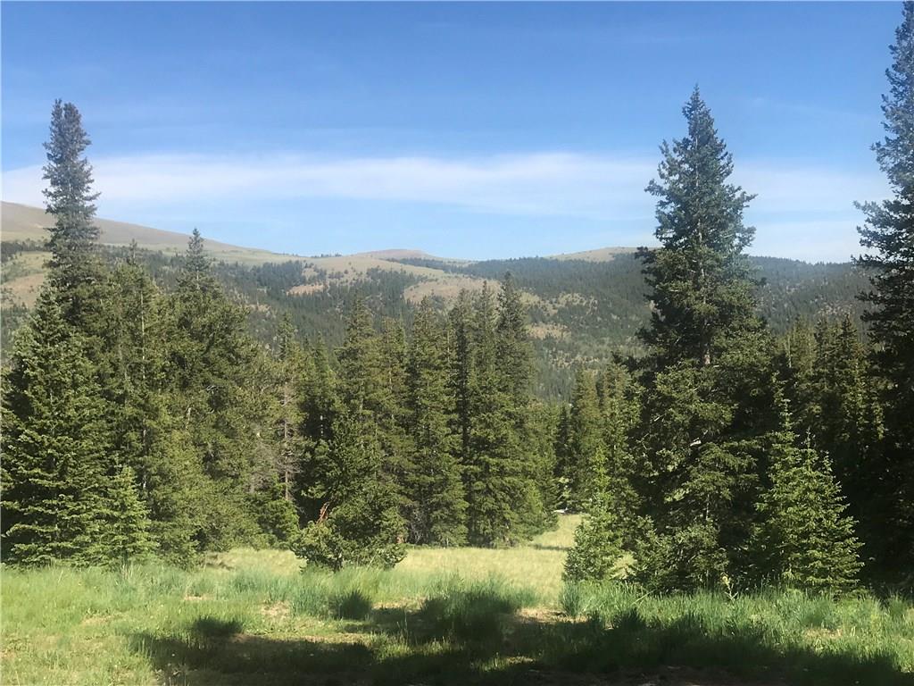 55 Lazy Rex Road Alma, CO 80420 - Photo 12 of 13 Gallery Image 12