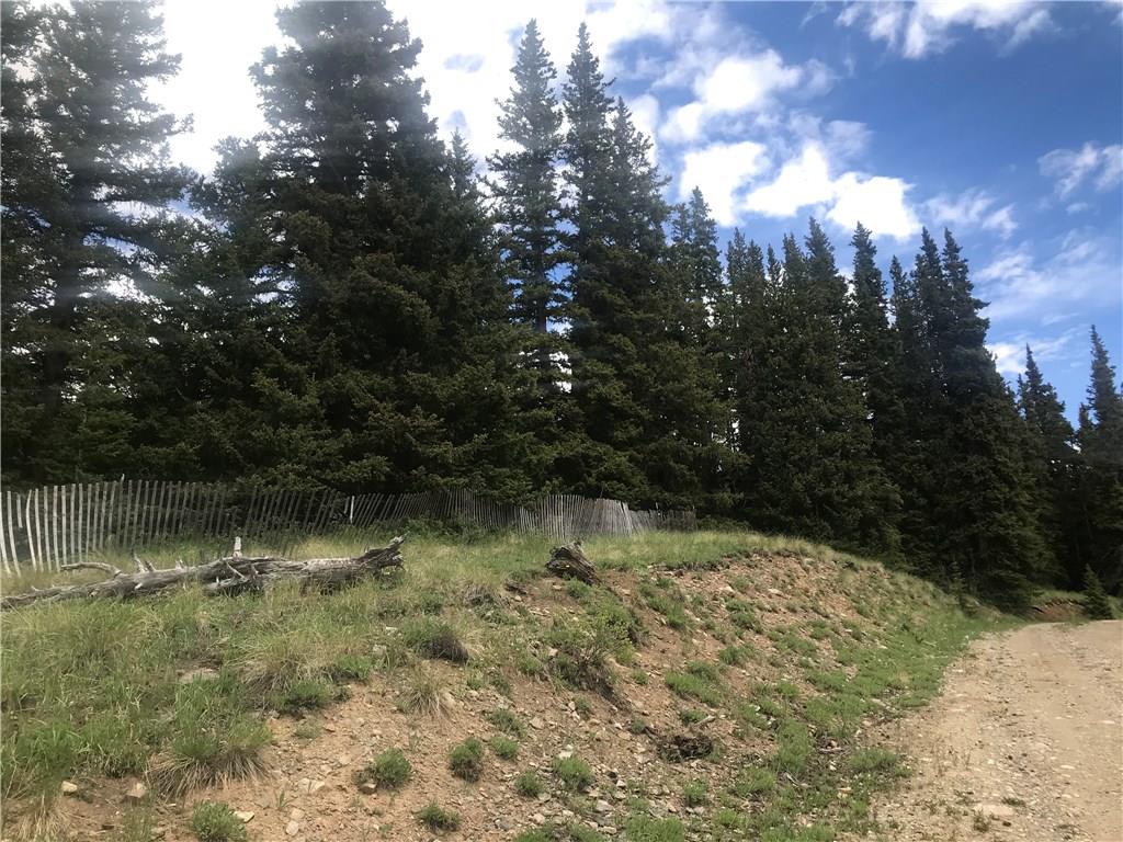 55 Lazy Rex Road Alma, CO 80420 - Photo 5 of 13 Gallery Image 5