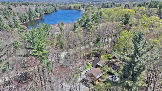 a view of a plant in a garden