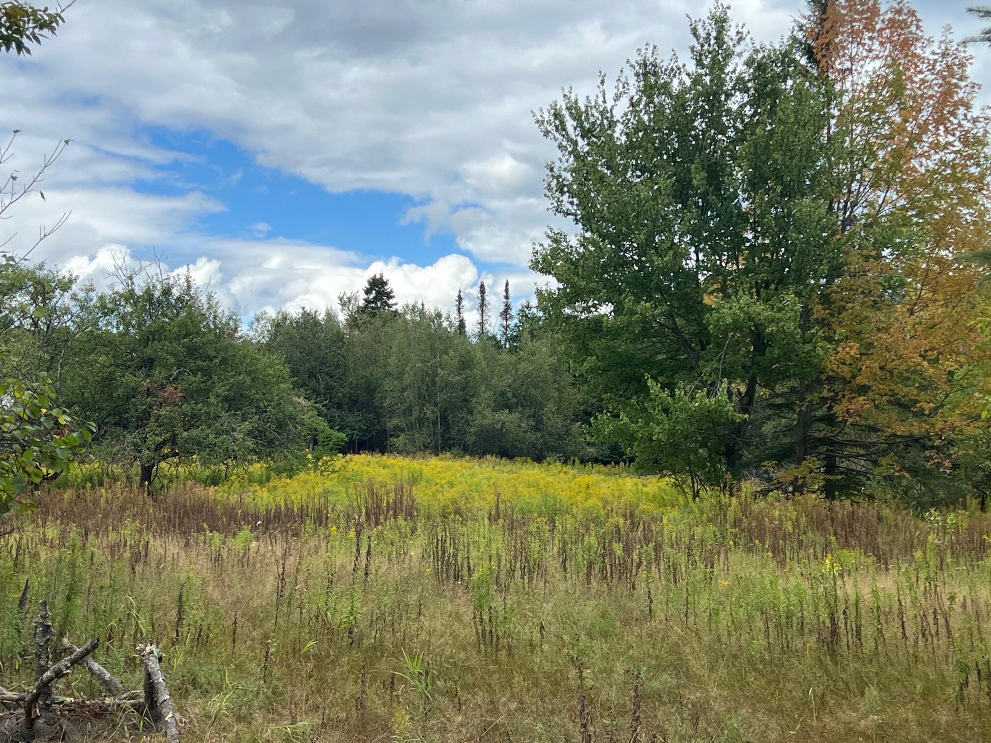 44 Cider Hill Road Corinna, ME 04928 - Photo 1 of 10 1