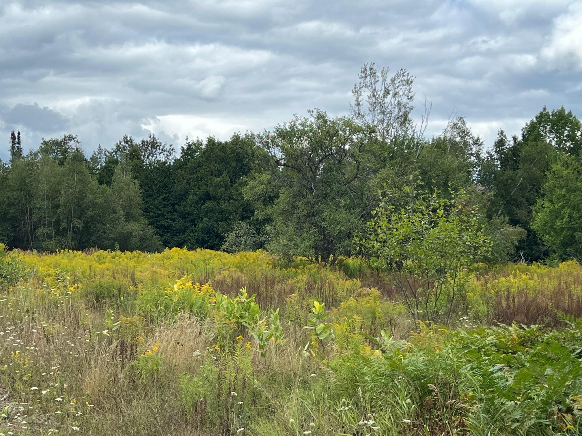 44 Cider Hill Road Corinna, ME 04928 - Photo 2 of 10 2