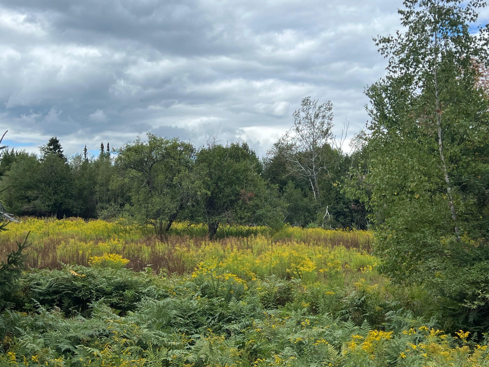 44 Cider Hill Road Corinna, ME 04928 - Photo 3 of 10 3