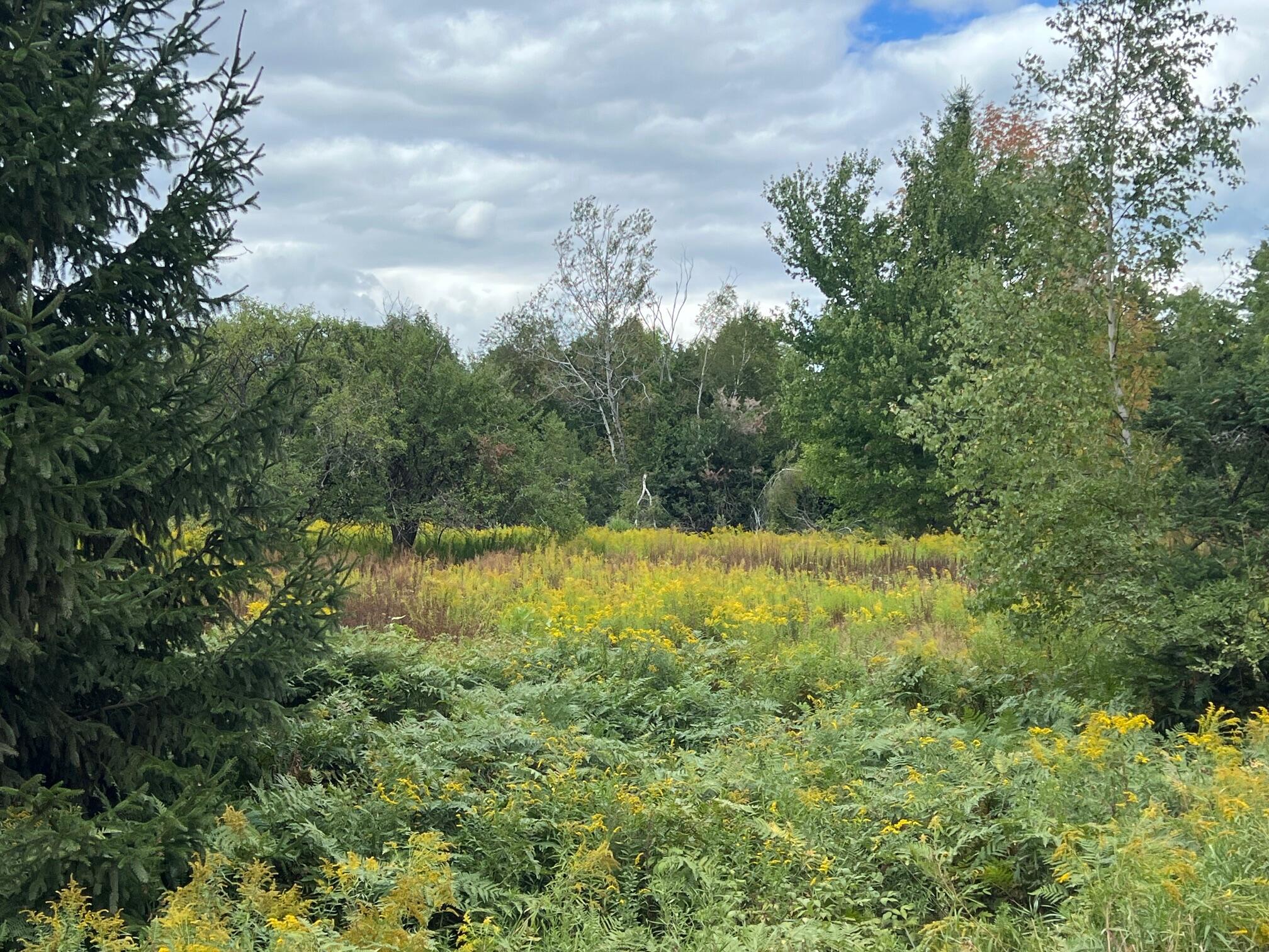 44 Cider Hill Road Corinna, ME 04928 - Photo 6 of 10 6