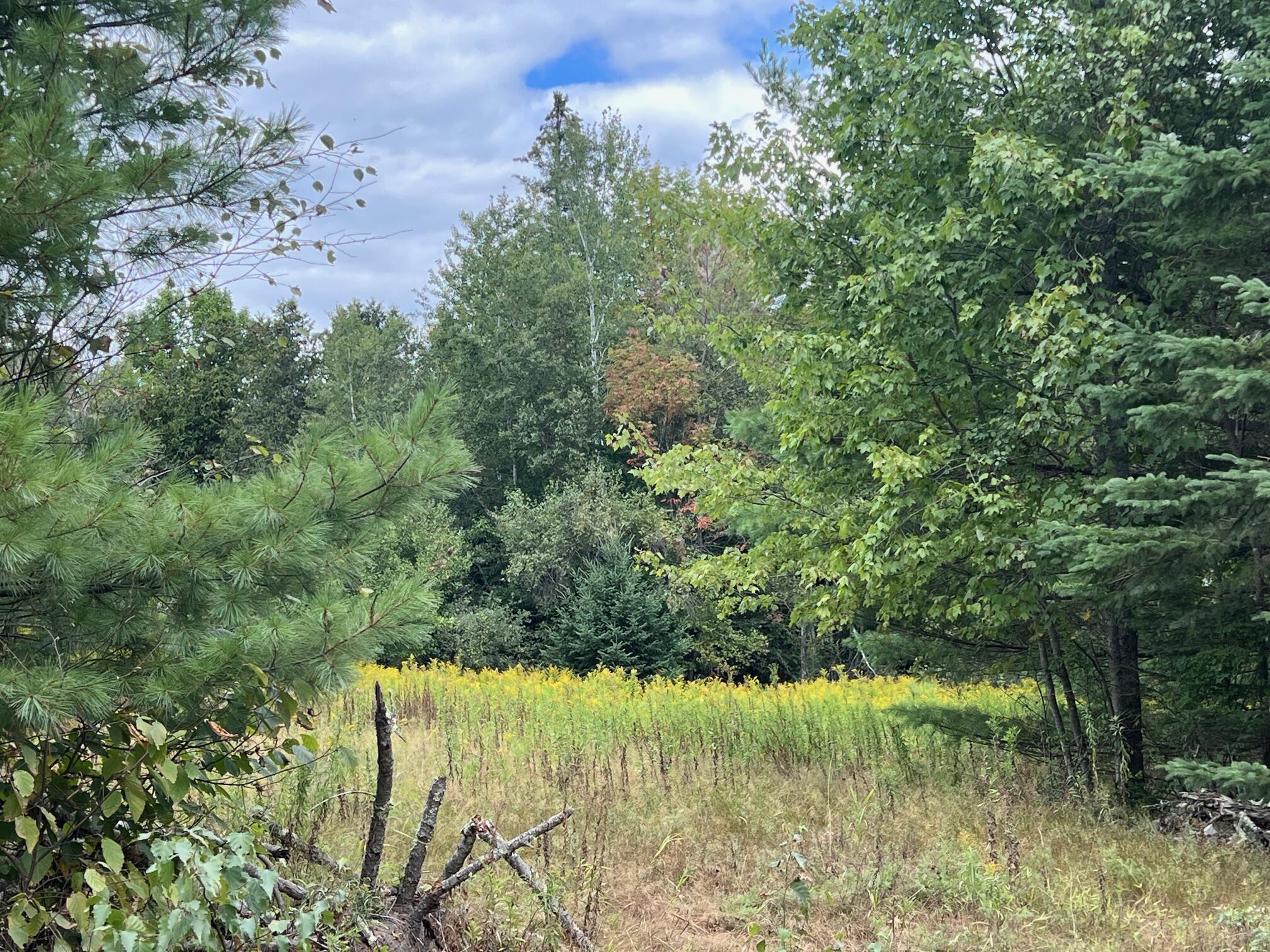 44 Cider Hill Road Corinna, ME 04928 - Photo 10 of 10 10