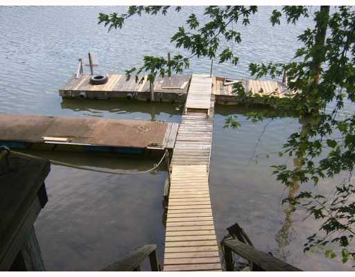 103 Chestnut Street Coraopolis, PA 15108 - Photo 13 of 17 Waterfront/Dock/Pier. Beautiful Ohio River In Summer quiet and Peaceful