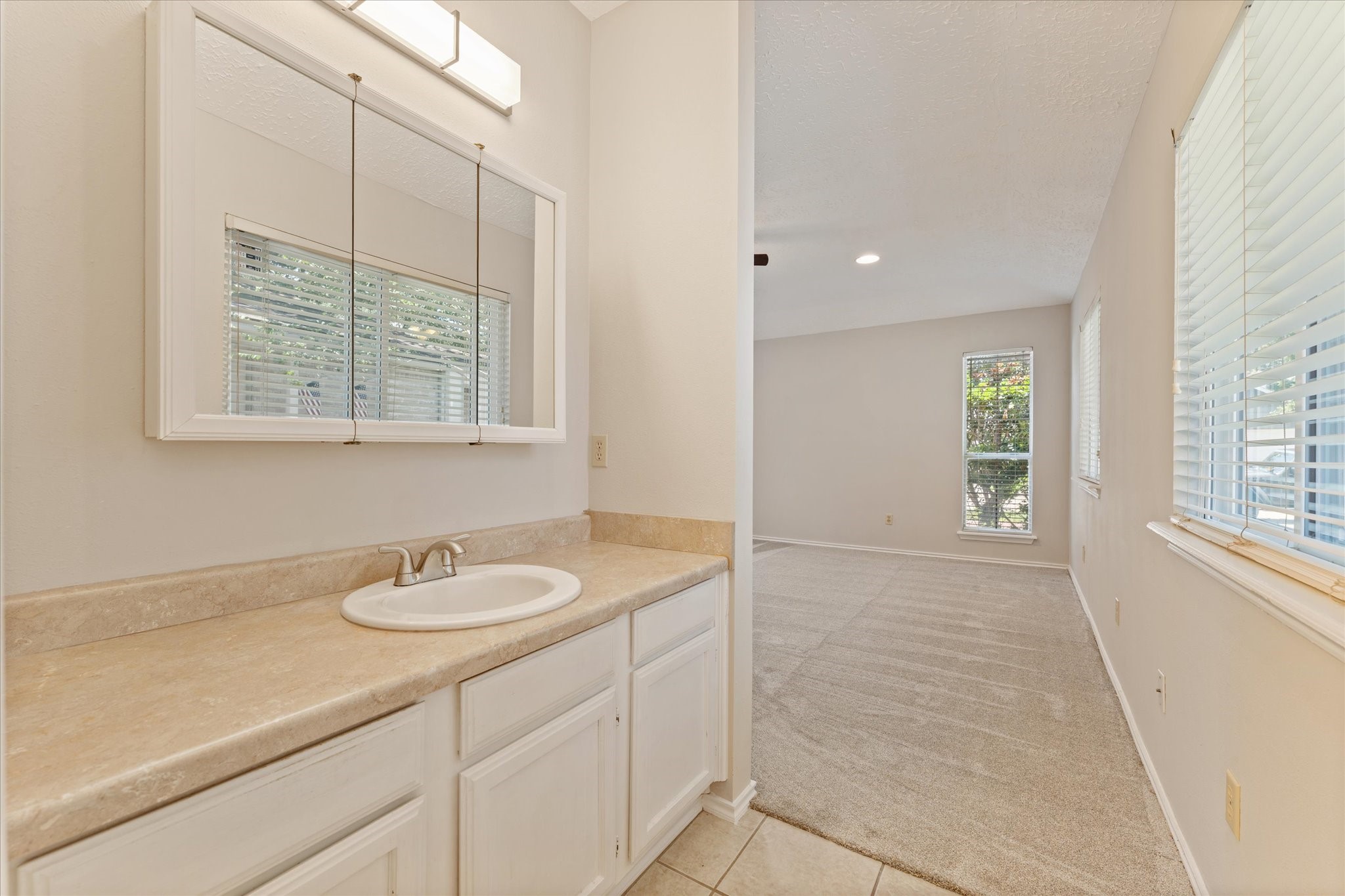 4906 Meadowfox Place Spring, TX 77389 - Photo 23 of 39 Sink is separate from the shower.