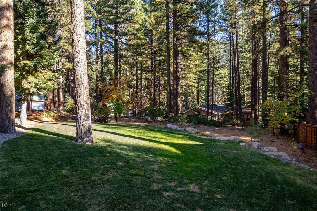 1089 Oxen Road Incline Village, NV 89451 - Photo 28 of 33 a view of a park with large trees