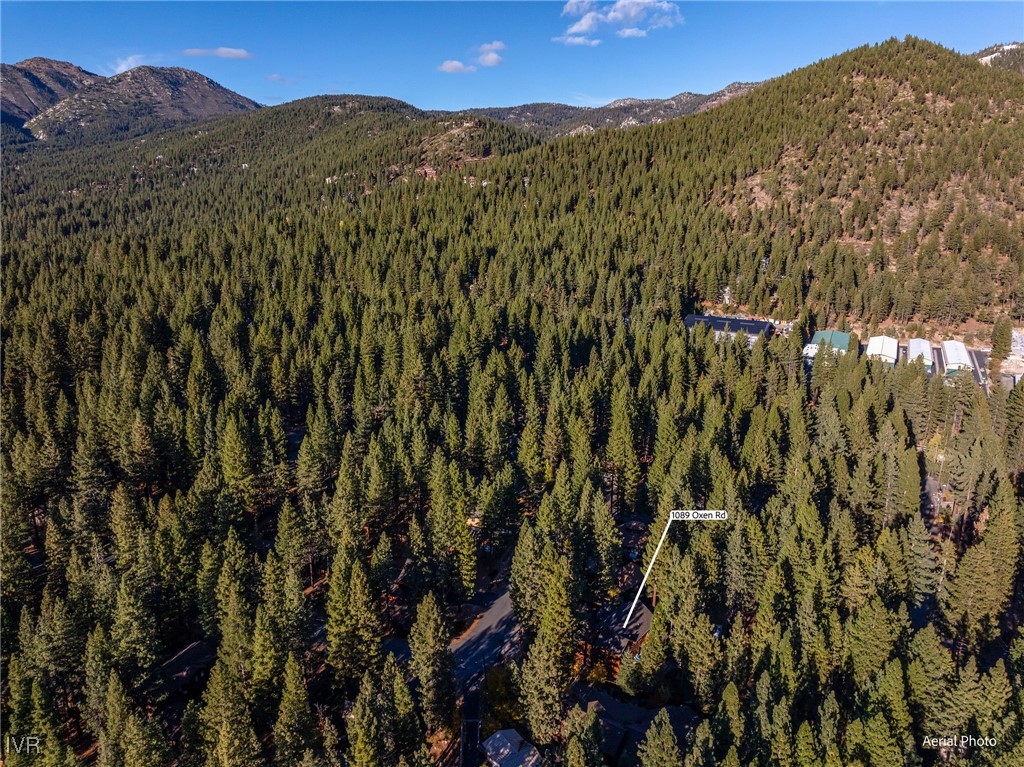 1089 Oxen Road Incline Village, NV 89451 - Photo 31 of 33 a view of a city with a mountain in the background