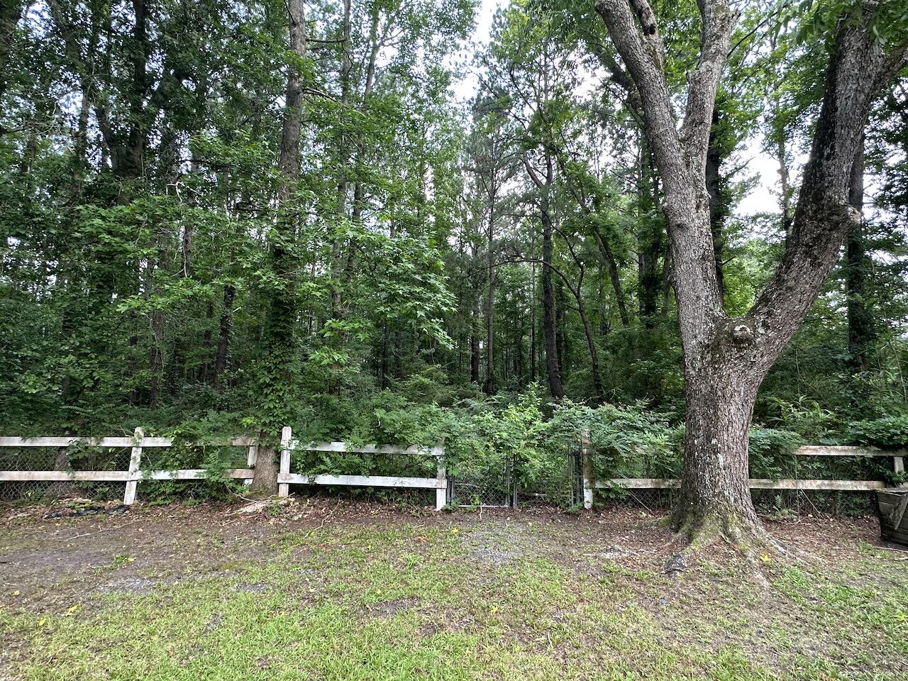 7691 North Highway 17 Awendaw, SC 29429 - Photo 15 of 16 IMG_3936