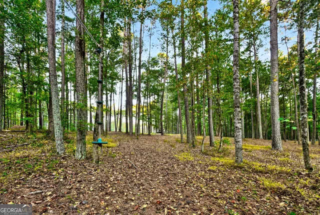 $995,000 | 385 Huckaby Road, Brooks, GA 30205