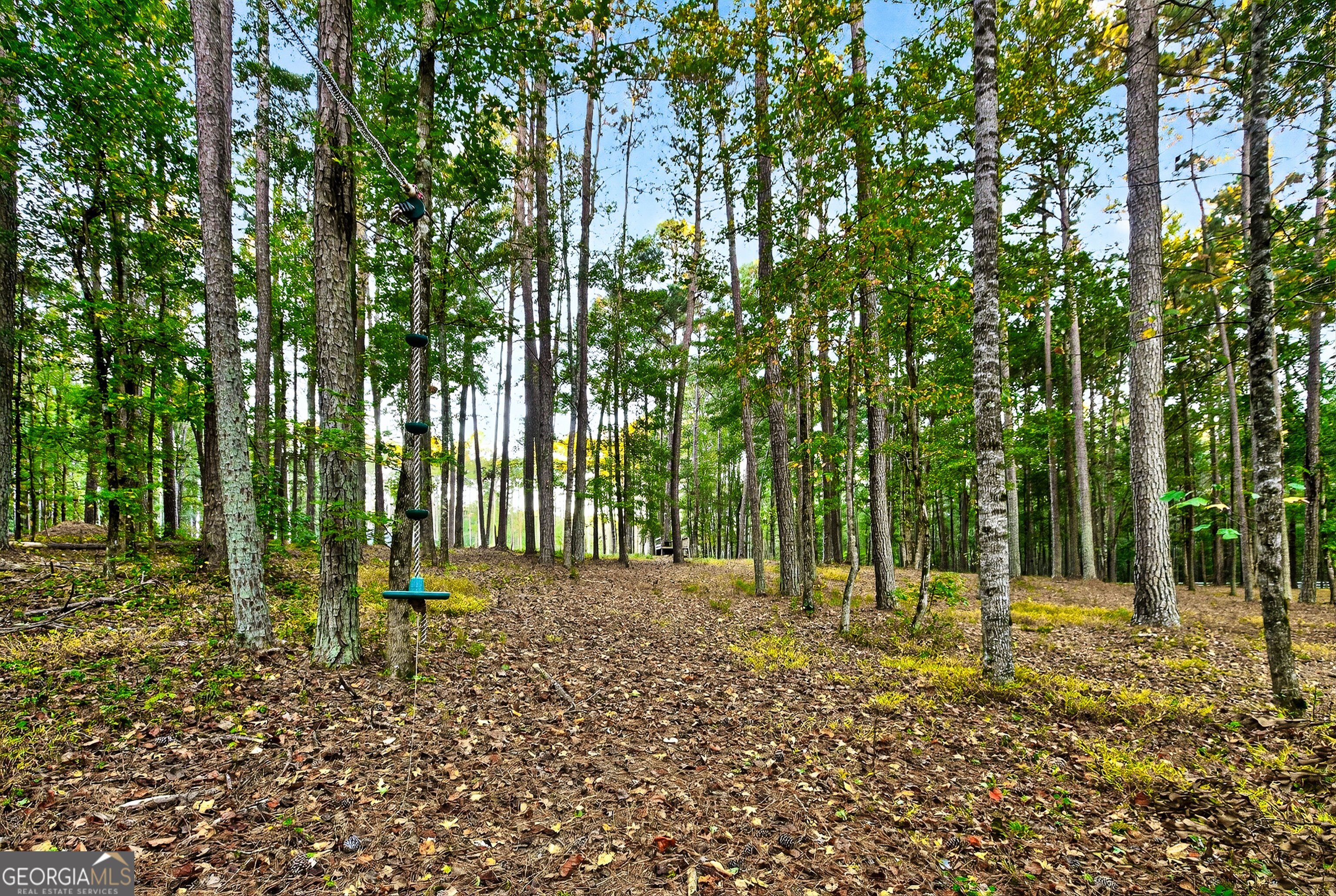 385 Huckaby Road Brooks, GA 30205 - Photo 58 of 71