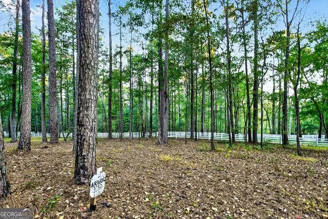 $995,000 | 385 Huckaby Road, Brooks, GA 30205