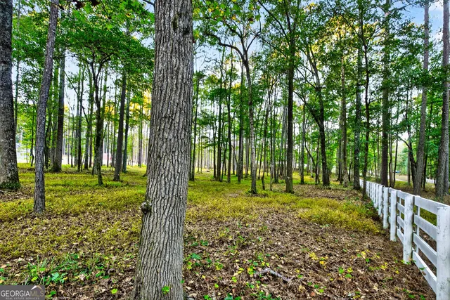 $995,000 | 385 Huckaby Road, Brooks, GA 30205