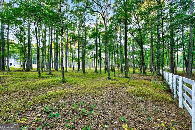 $995,000 | 385 Huckaby Road, Brooks, GA 30205